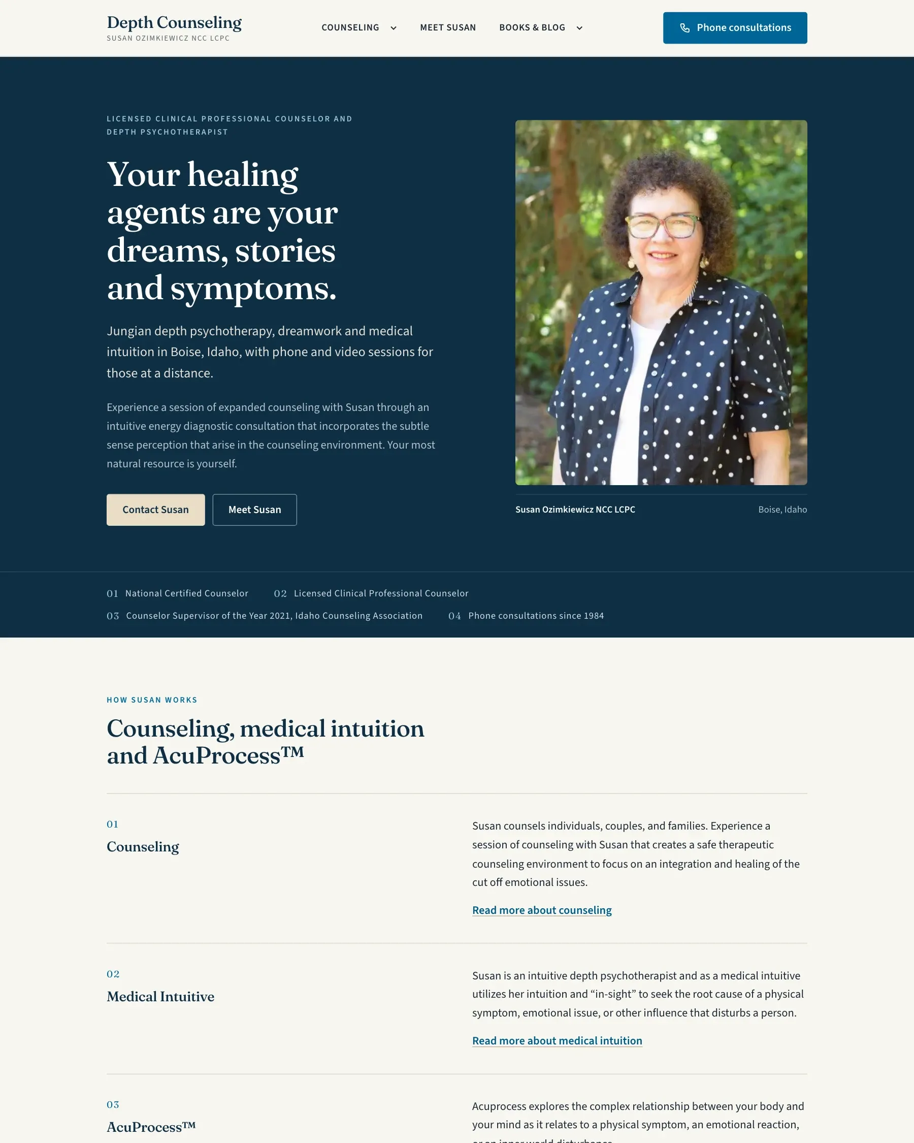 DepthCounseling.com home page in deep blue with the practice name and an introduction to depth counseling
